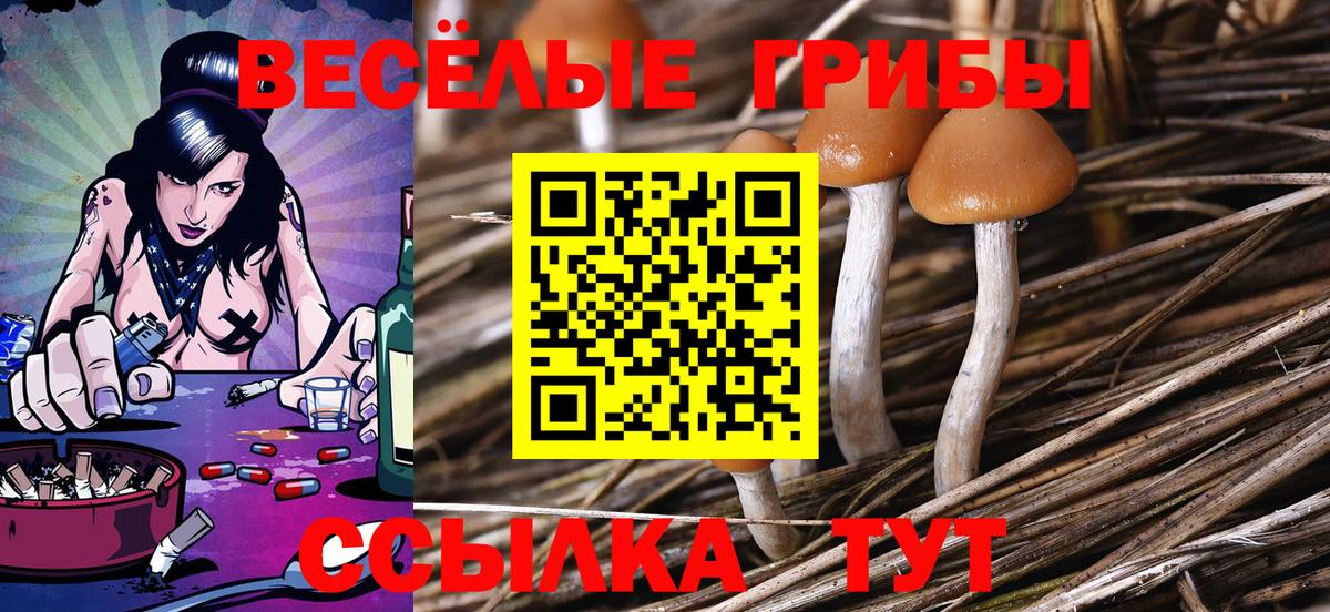 Галлюциногенные грибы мухоморы Лабинск
